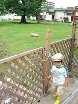 c96734f2.jpg