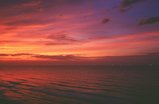 鳥取砂丘の夕暮れ