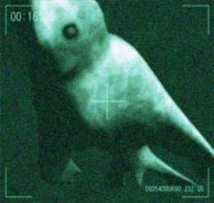 113