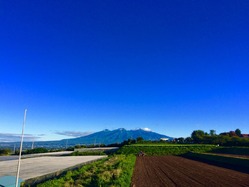 IMG_6470