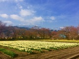 IMG_1391