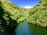 IMG_E2535