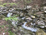 IMG_2482