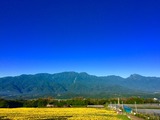 IMG_6471