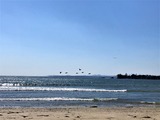 IMG_2786