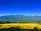 IMG_6468