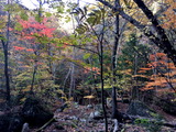IMG_5815_1