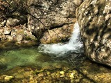 IMG_2489_1