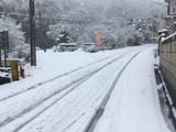 IMG_0330
