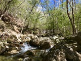 IMG_E2498