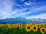 IMG_6273