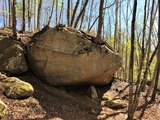 IMG_2473_1