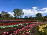 IMG_E1400