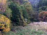 IMG_5862_1