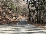 IMG_1437