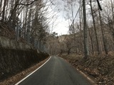 IMG_1449