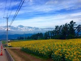 IMG_6241