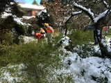 IMG_4172_1