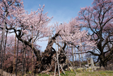 jindai_160331-1