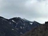IMG_1441