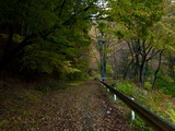 IMG_E1605