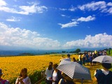 IMG_6723