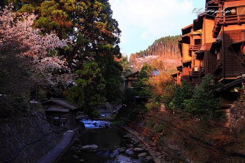 kurokawa
