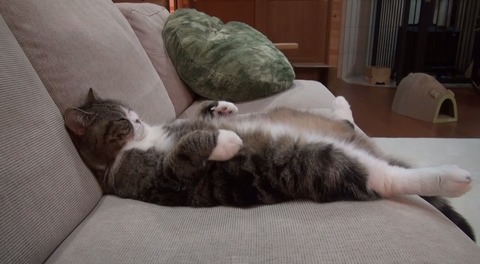 maru
