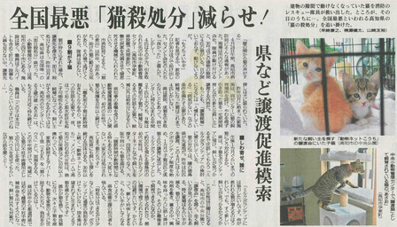 記事