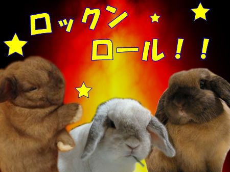ロックンロール画像