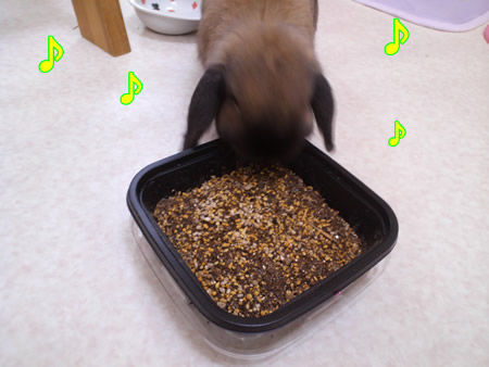 �ڤ��ߢ�