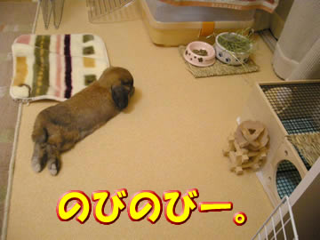 サイコー