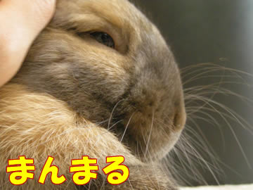 おおきくなったね!