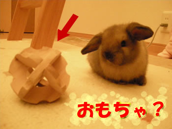 これ、ぼくの?