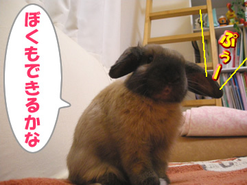 くちぶえ2