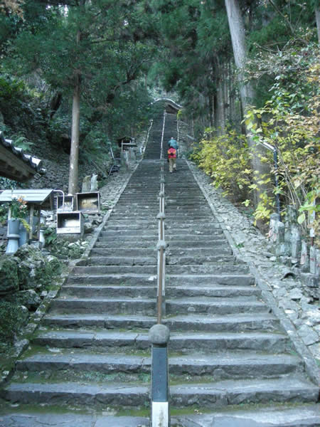 青龍寺1
