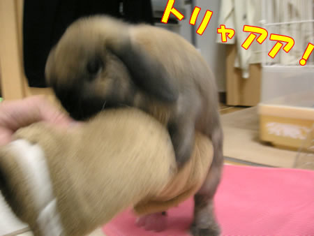 ���ե�7