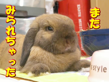 ちゃんと隠してね・・。