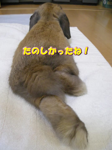 まんぞく!