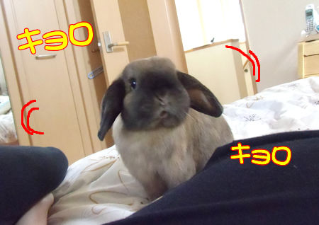 ���Ĥˤ�3