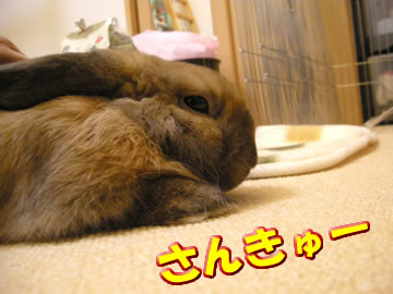 よかったねーっ