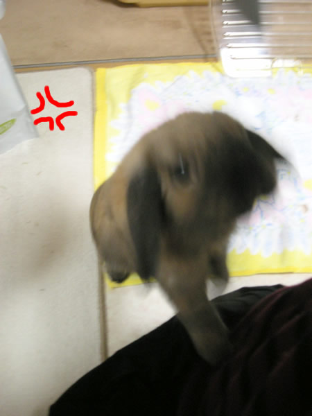 催促5