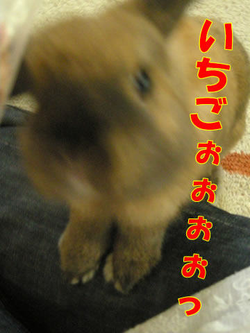 はやくよこせぇーっ