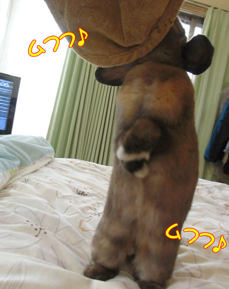 ���Ĥˤ�4