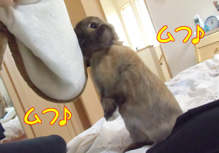 ���Ĥˤ�2