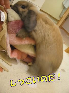 もっとかくかく!