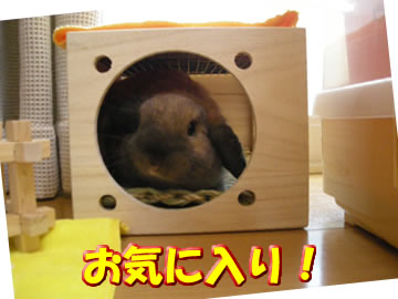ぴったりだよ!