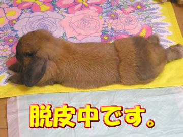 もう少しで終わるかな
