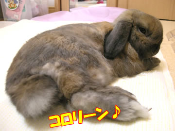 ¤ªÀµ·î£²