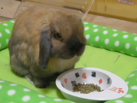 今年もよろしく!